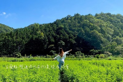 雙連埤里山市集小旅行攻略 (10)